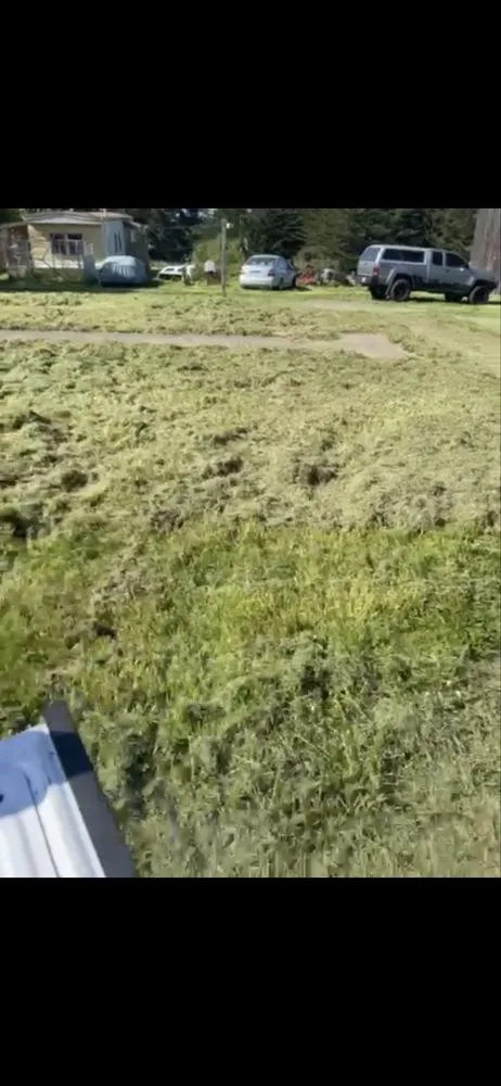 Top-rated lawn care service in Eureka, CA by Lunas Landscaping Cleaning Services