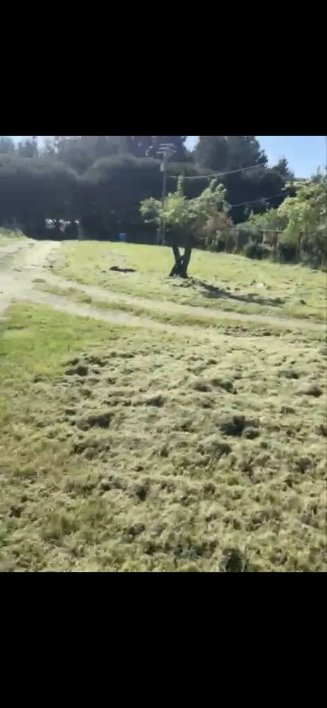 Expert lawn care service for homes across Eureka, CA - Lunas Landscaping Cleaning Services