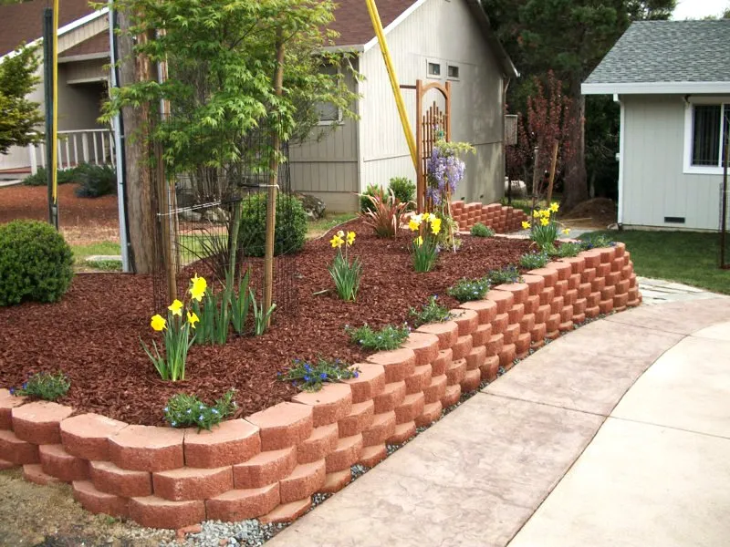 Trusted yard cleanup service experts serving Penn Valley, CA - Luna's Landscaping