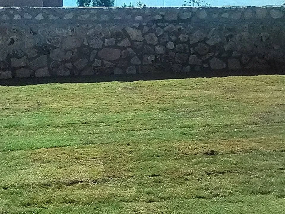 Reliable yard cleanup service for homes in Roswell, NM by Luna's Lawn & Yard Services