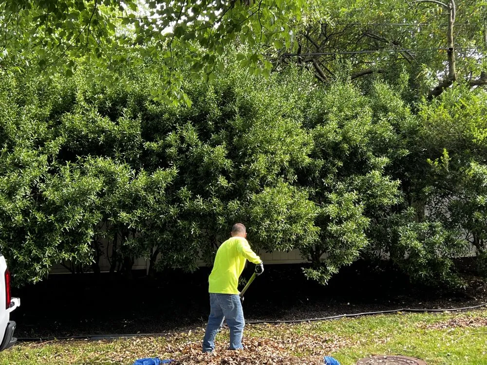 Custom residential landscaping for year-round maintenance across New Castle, DE - Luna’s Lawn Care