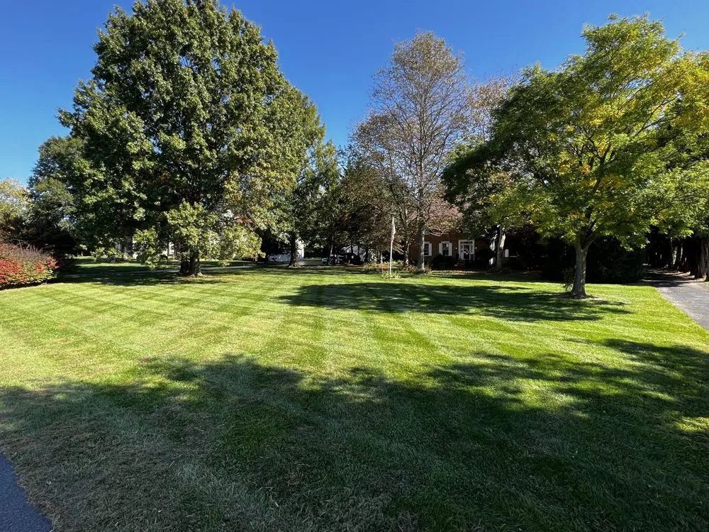 Custom lawn care service experts serving New Castle, DE - Luna’s Lawn Care