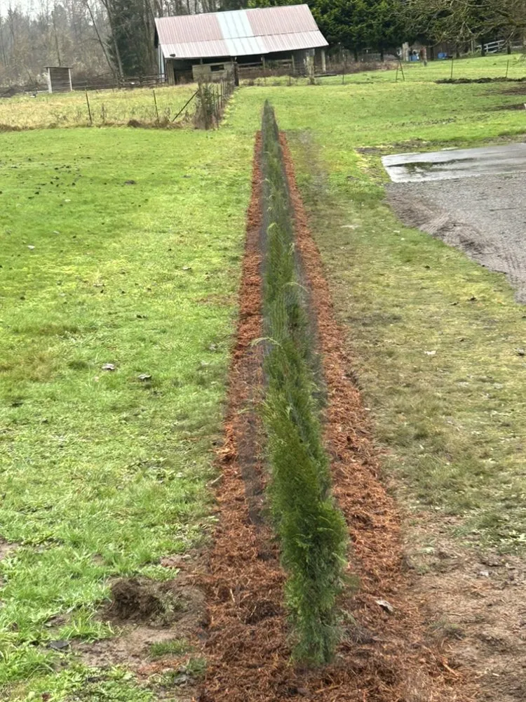 Trusted lawn mowing service for homes in Toledo, WA by Luna's Of Landscaping
