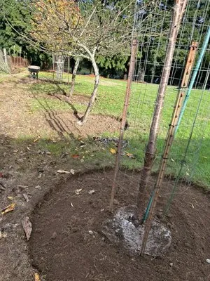 Luna's Of Landscaping