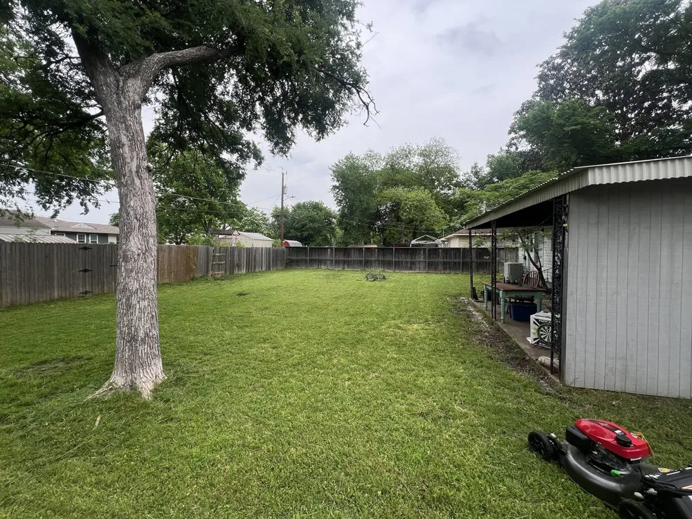 Reliable lawn mowing service for year-round maintenance in Garland, TX by Lunas Services