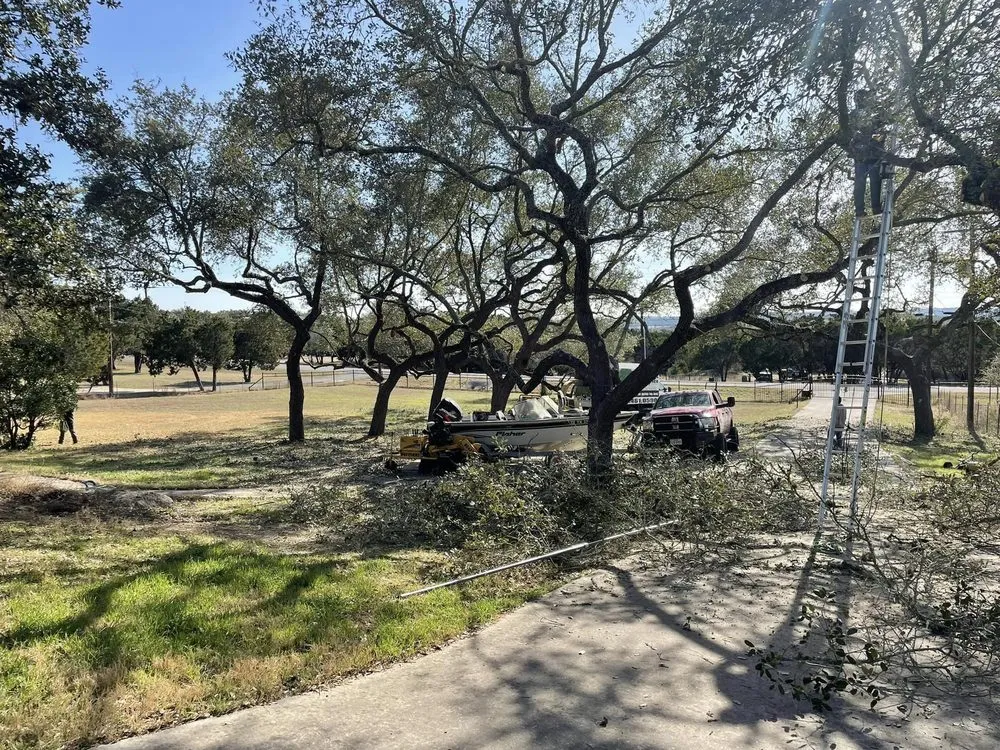 Affordable lawn care service in San Antonio, TX - Luna's Tree Service