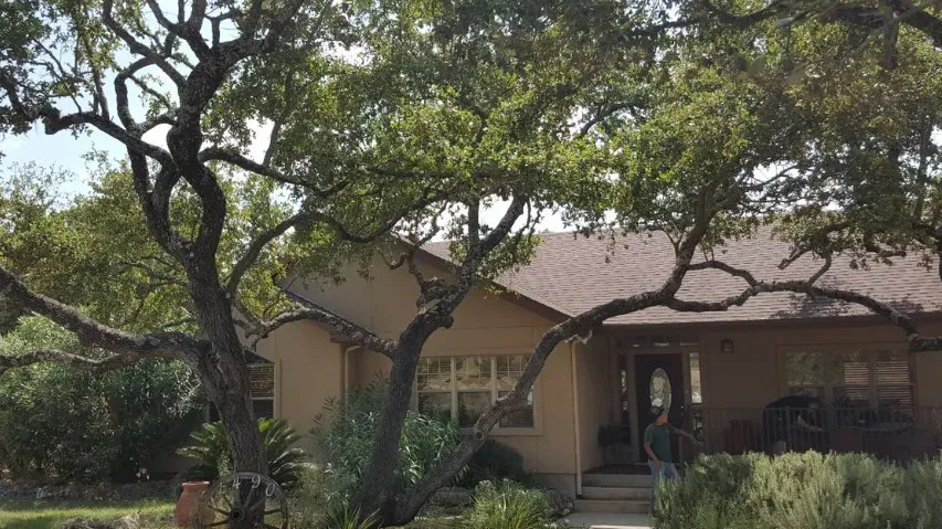 Trusted yard maintenance in San Antonio, TX by Luna's Tree Service
