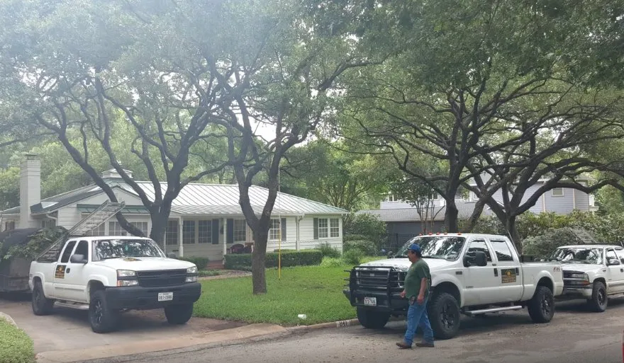 Professional residential landscaping experts serving San Antonio, TX - Luna's Tree Service