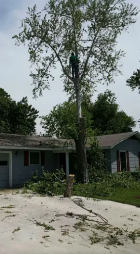 Reliable landscape installation in San Antonio, TX - Luna's Tree Service
