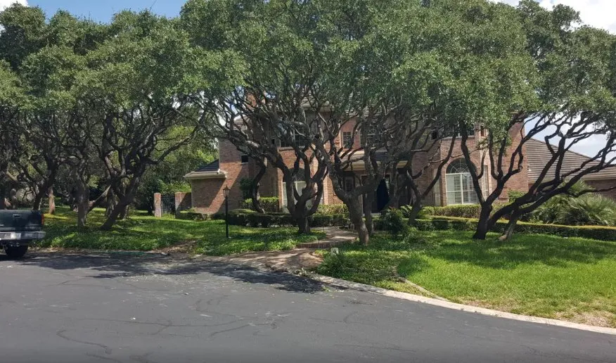 Local landscaping services for residential properties in San Antonio, TX by Luna's Tree Service