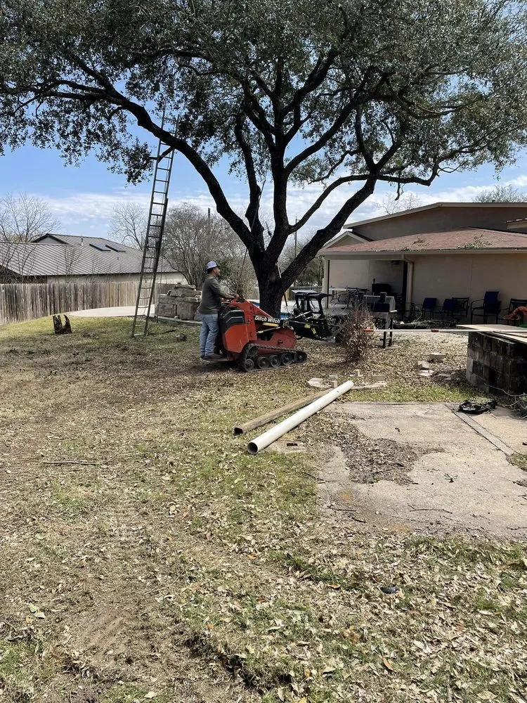 Top-rated yard cleanup service experts serving San Antonio, TX - Luna's Tree Service