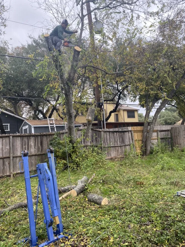 Expert lawn mowing service in San Antonio, TX - Luna's Tree Service
