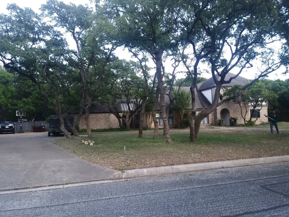 Reliable landscaping services in San Antonio, TX - Luna's Tree Service