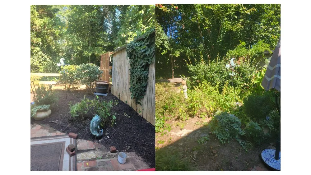 Expert lawn mowing service in Atlanta, GA - Luna's Trees