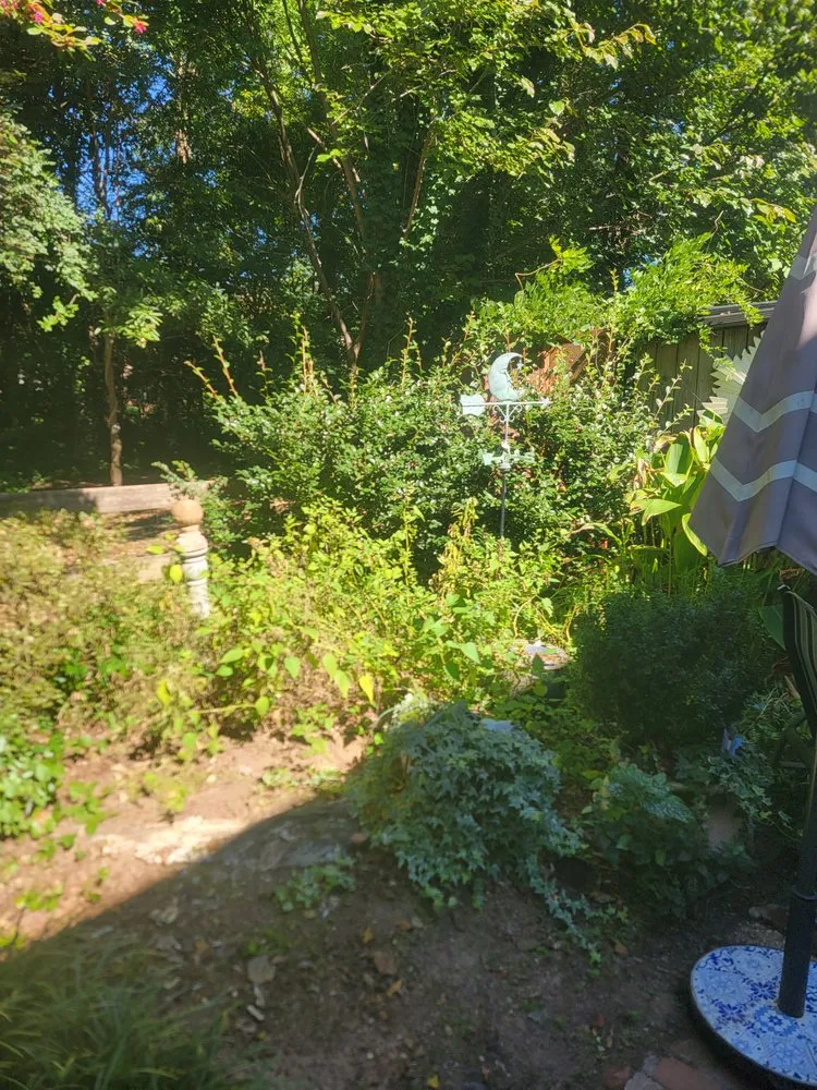 Custom outdoor landscaping in Atlanta, GA by Luna's Trees