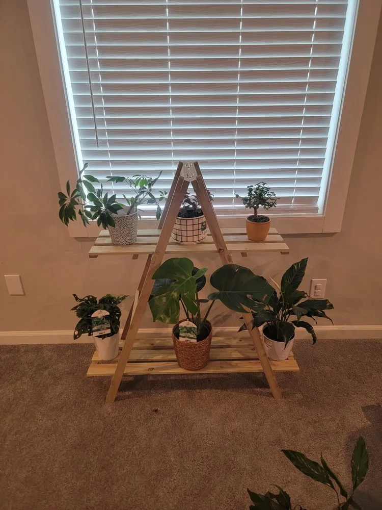 Professional landscape design for homes in Atlanta, GA by Luna's Trees