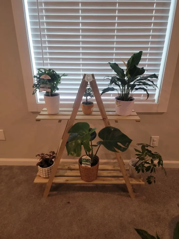 Trusted landscape installation near you across Atlanta, GA - Luna's Trees