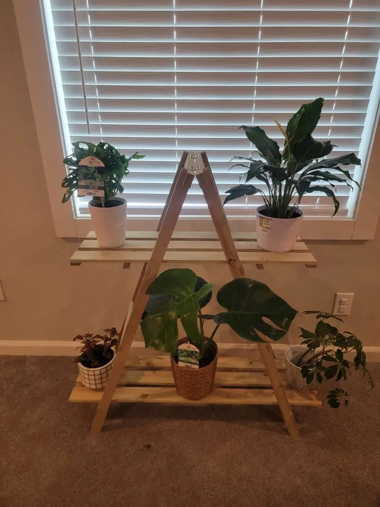 Local landscape installation in Atlanta, GA by Luna's Trees