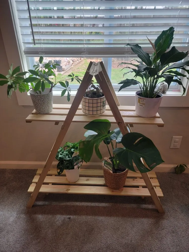 Reliable landscape design for residential properties across Atlanta, GA - Luna's Trees