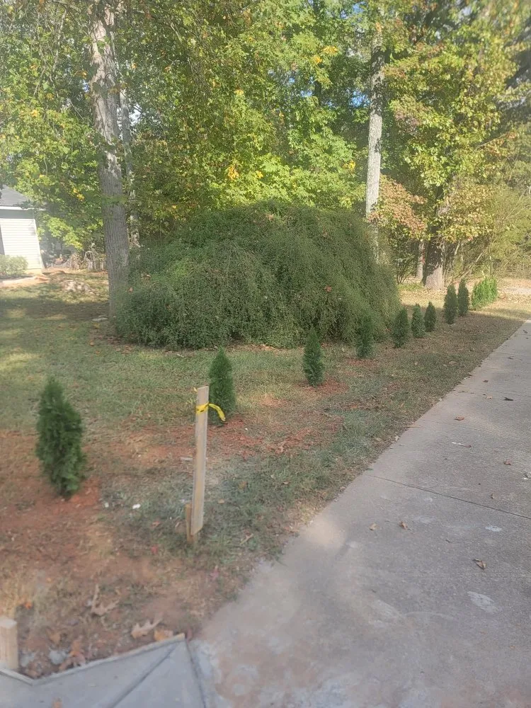 Affordable yard maintenance experts serving Atlanta, GA - Luna's Trees