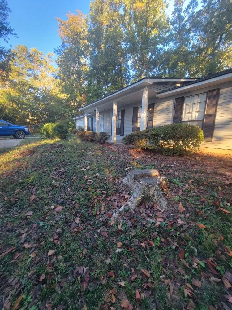 Trusted landscape design experts serving Atlanta, GA - Luna's Trees