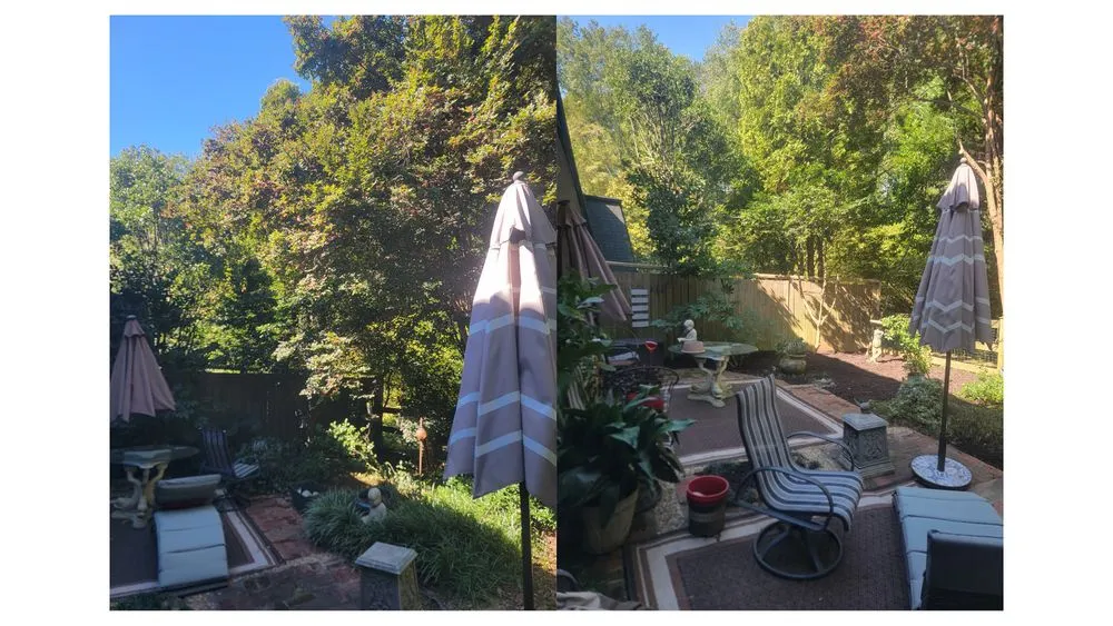 Expert yard maintenance for outdoor upgrades in Atlanta, GA by Luna's Trees