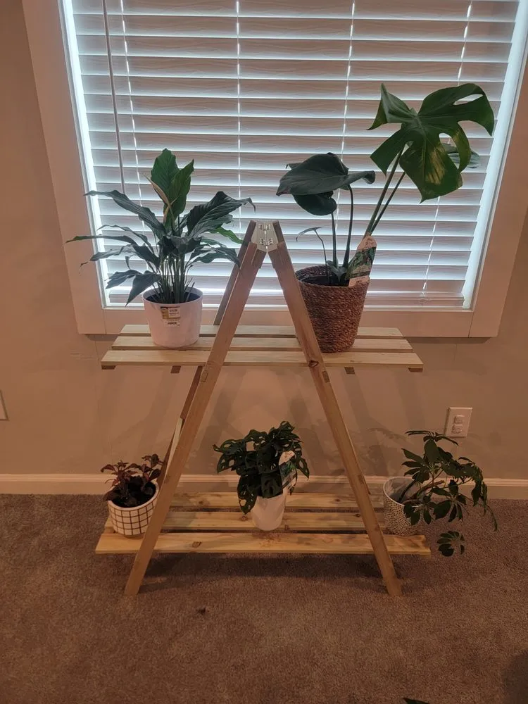 Reliable landscape installation experts serving Atlanta, GA - Luna's Trees