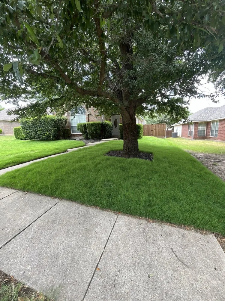 Trusted garden landscaping for beautiful yards across Little Elm, TX - Luna’s western landscape