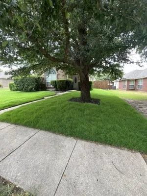 Luna’s western landscape Logo