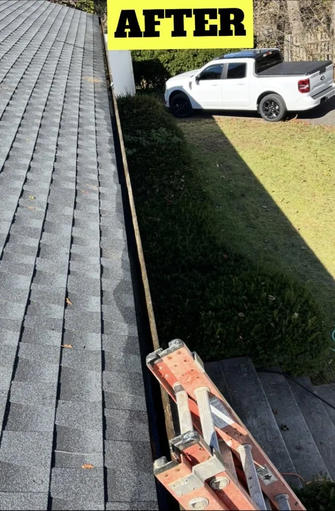 Professional landscaping services in Amesbury, MA - Lunch Pail Services