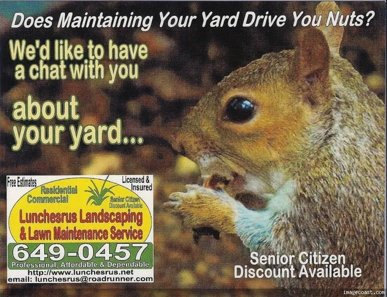 Reliable landscape design near you in Hamburg, NY by Lunchesrus Landscaping & Lawn Maintenance Service