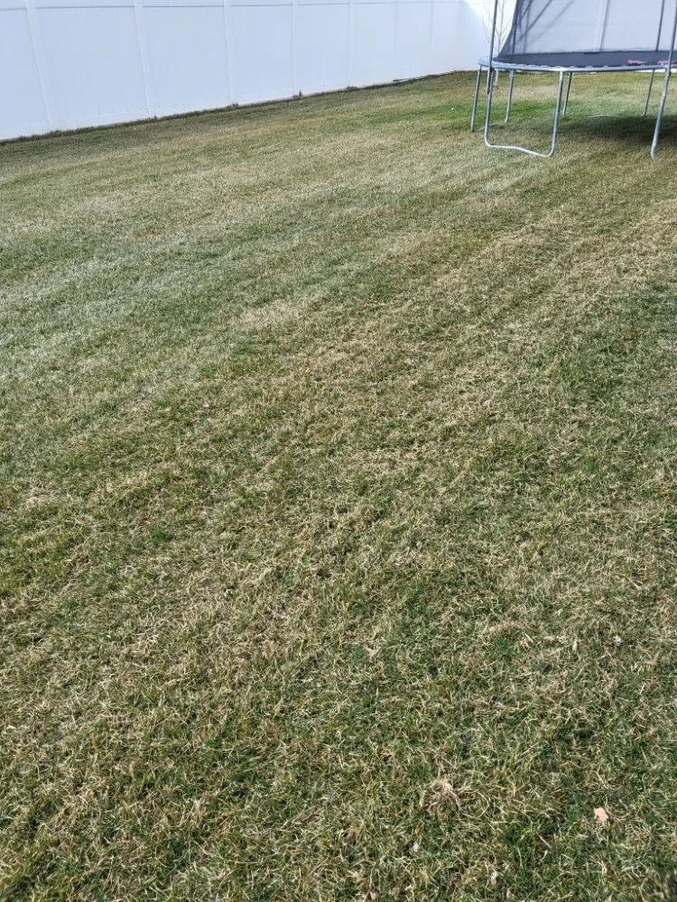 Custom landscape installation for outdoor upgrades across South Jordan, UT - Lund Lawn Care