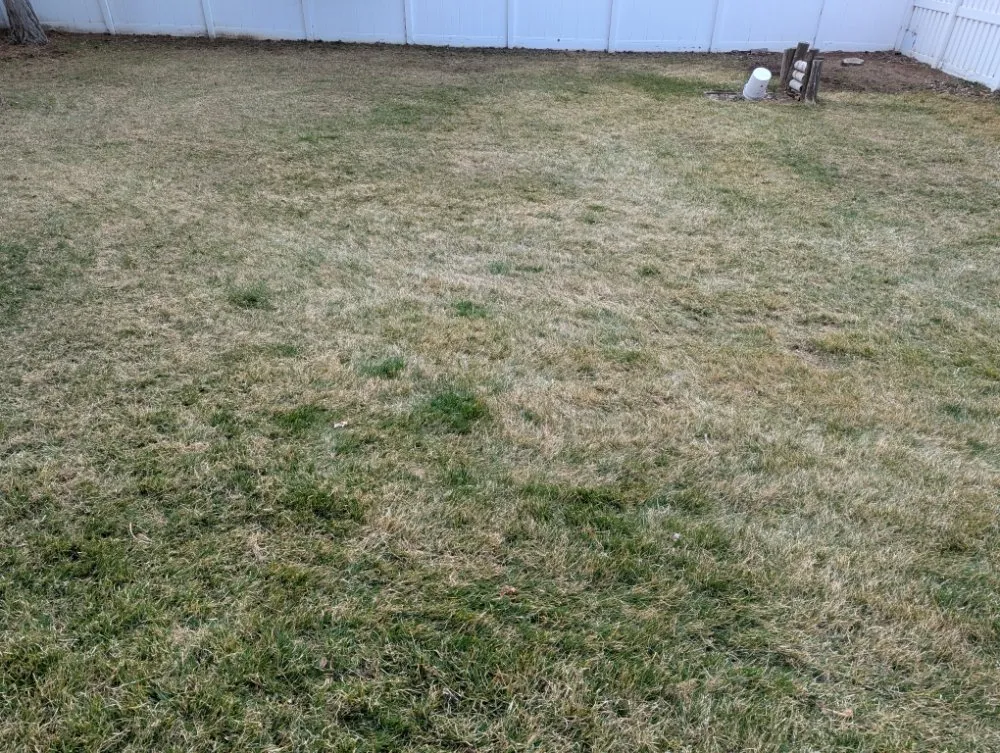 Custom landscaping services experts serving South Jordan, UT - Lund Lawn Care