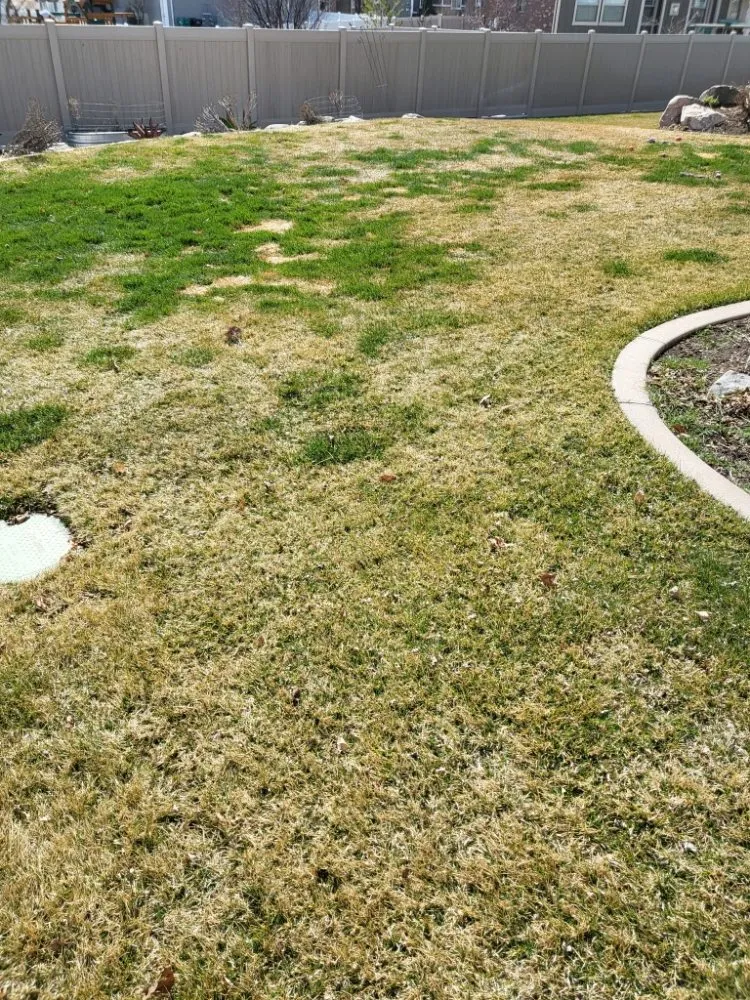 Trusted yard maintenance near you across South Jordan, UT - Lund Lawn Care