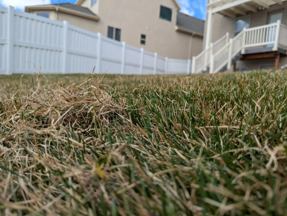 Expert landscape design in South Jordan, UT - Lund Lawn Care