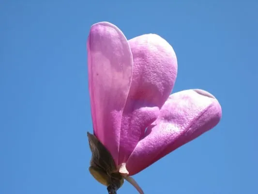 Lundholm Landscaping