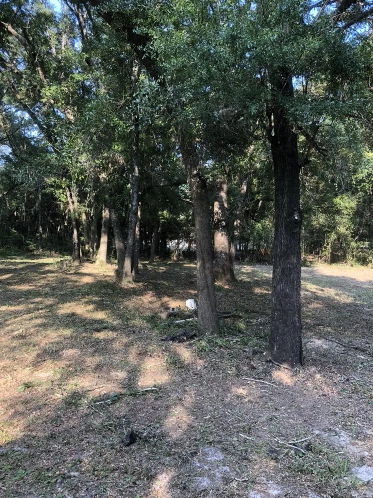 Professional landscaping services for homes in Freeport, FL by Lund's Tractor Service & Excavation