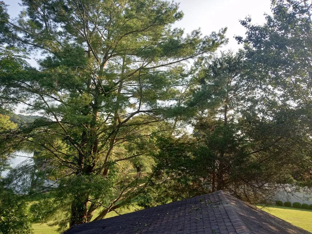 Reliable outdoor landscaping for outdoor upgrades in Kingston, TN by Lunsford Land Design