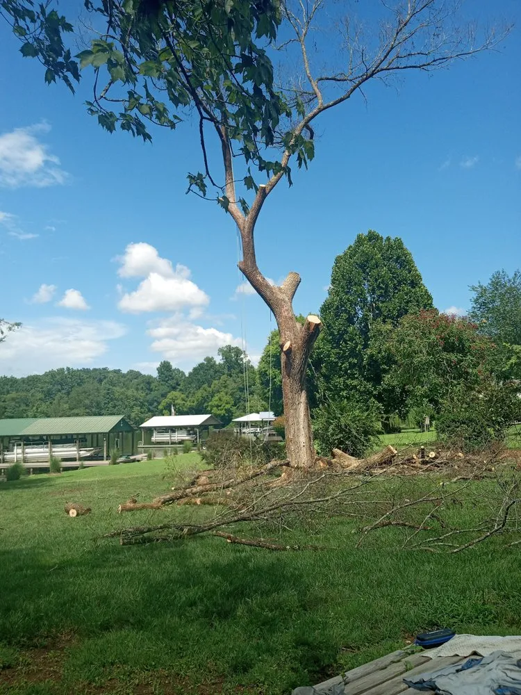 Expert lawn mowing service in Kingston, TN - Lunsford Land Design