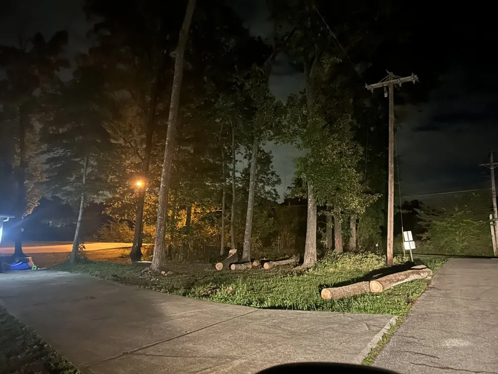 Affordable lawn care service in Kingston, TN by Lunsford Land Design