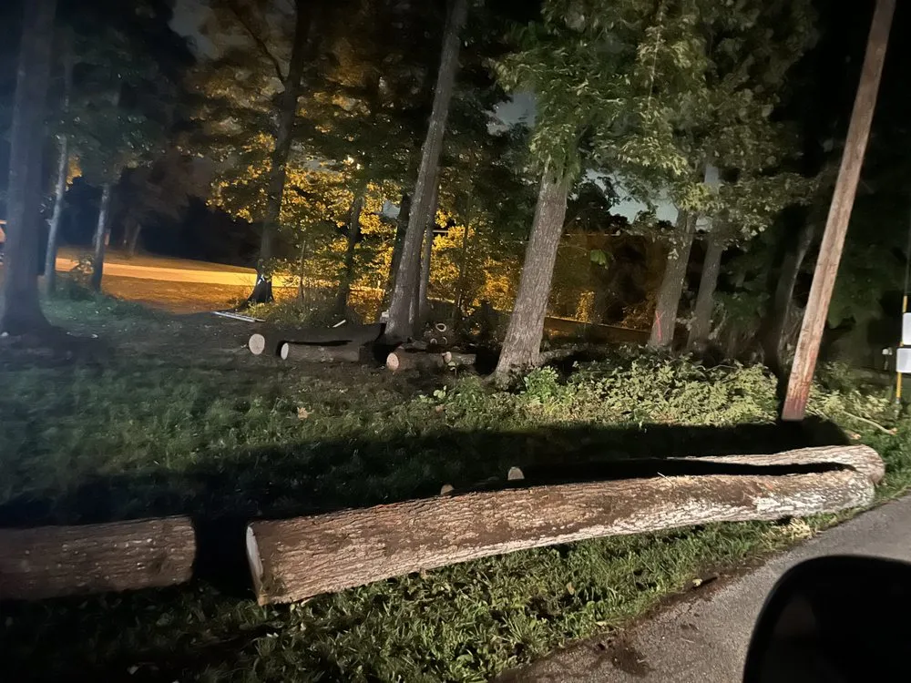 Expert lawn care service in Kingston, TN by Lunsford Land Design