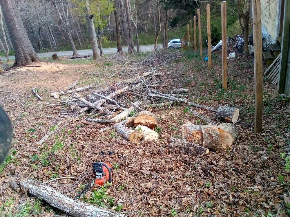 Affordable residential landscaping in Kingston, TN by Lunsford Land Design