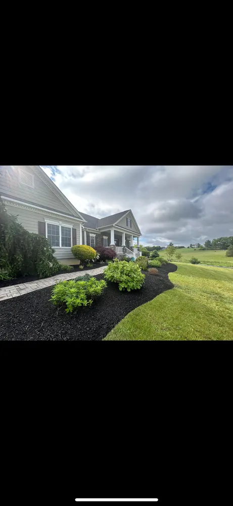 Local yard cleanup service in Lyndhurst, VA - Lunsford Outdoor Innovations