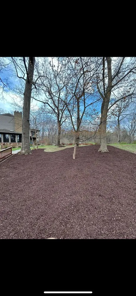 Custom yard cleanup service in Lyndhurst, VA by Lunsford Outdoor Innovations