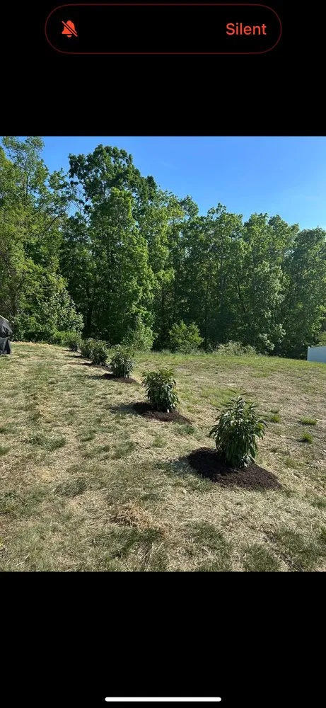 Expert yard cleanup service in Lyndhurst, VA - Lunsford Outdoor Innovations