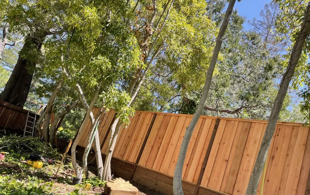 Local landscaping services for residential properties in Redwood City, CA by Lupe Garden Landscaping