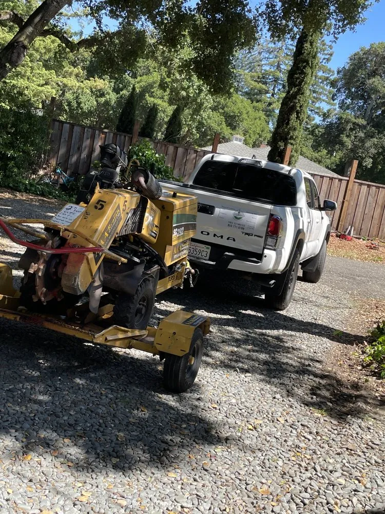 Professional garden landscaping in Redwood City, CA - Lupe Garden Landscaping