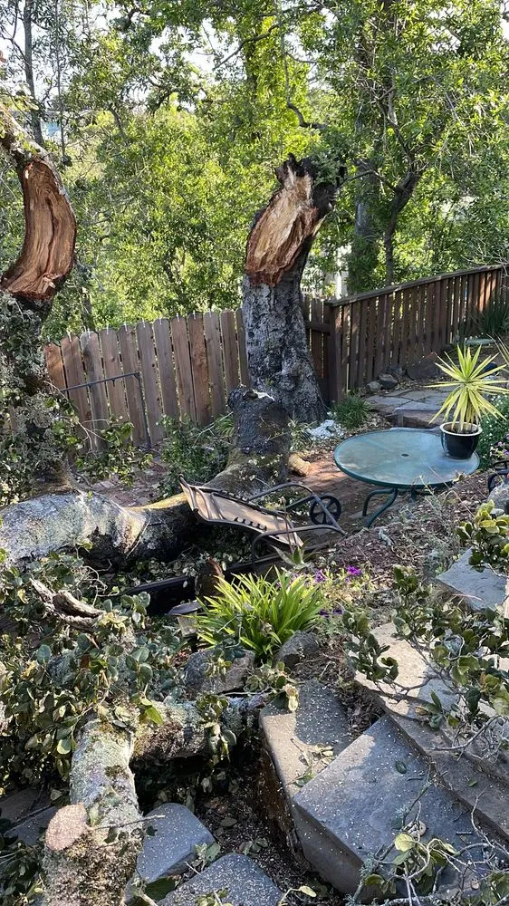 Local landscape design in Redwood City, CA by Lupe Garden Landscaping