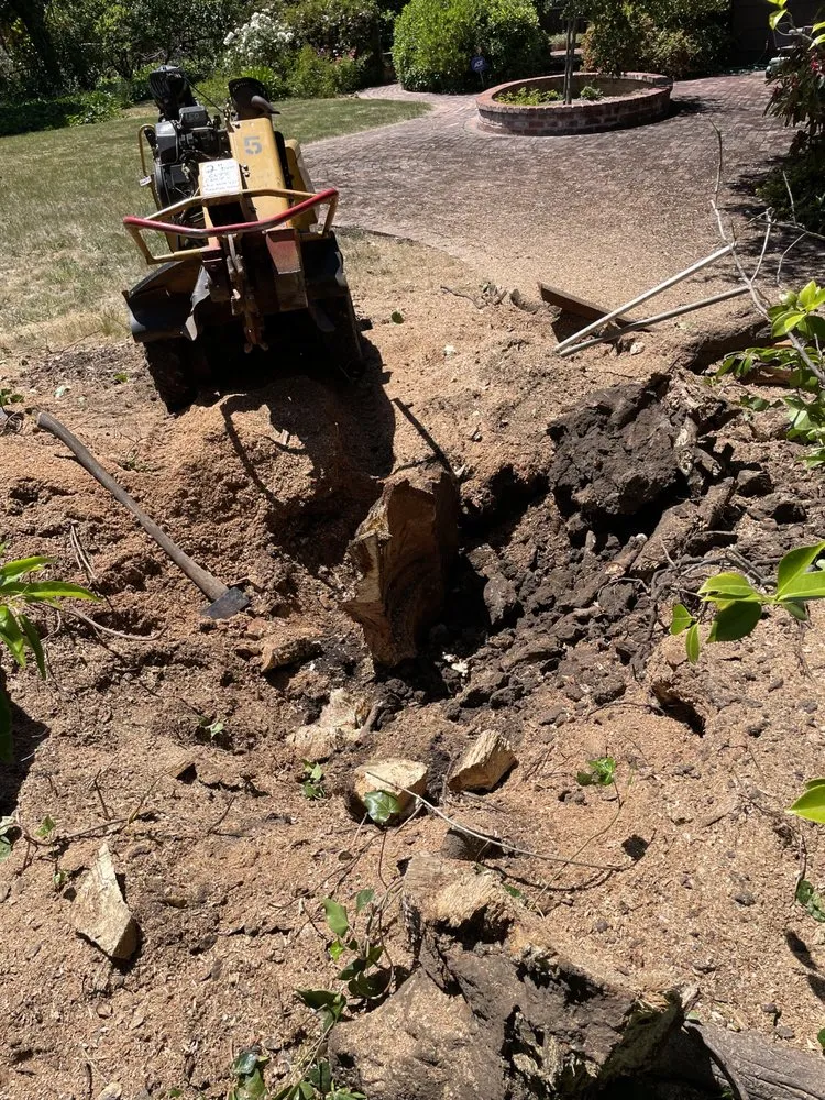 Custom garden landscaping experts serving Redwood City, CA - Lupe Garden Landscaping