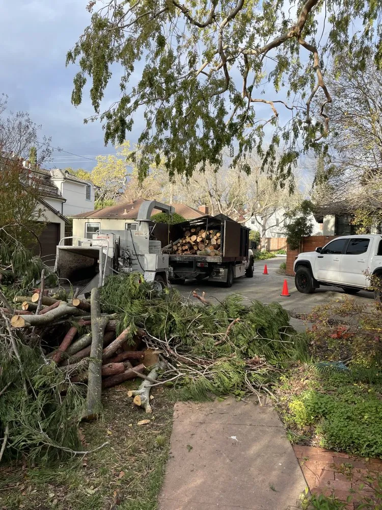 Affordable outdoor landscaping in Redwood City, CA by Lupe Garden Landscaping